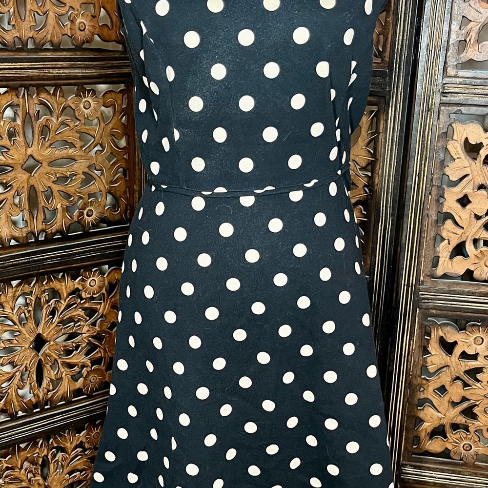 Ann Taylor Black and Tan Polka Dot Midi Dress